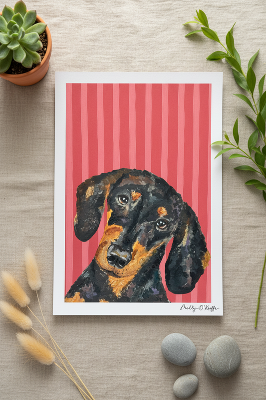 Short-Haired Dachshund on Raspberry Print