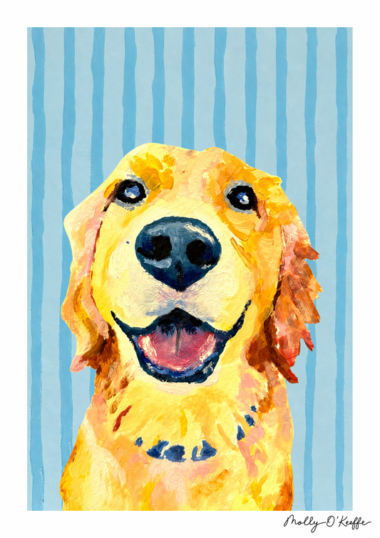 Golden Retriever on Soča Blue Print