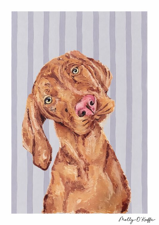 Vizsla on Burren Grey Print