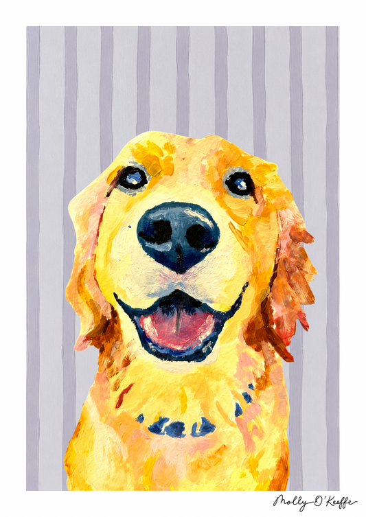 Golden Retriever on Burren Grey Print