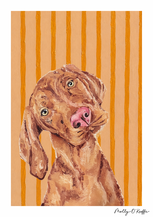 Vizsla on Summit Sunset Print
