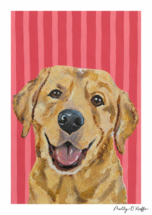 Yellow Labrador on Raspberry Print