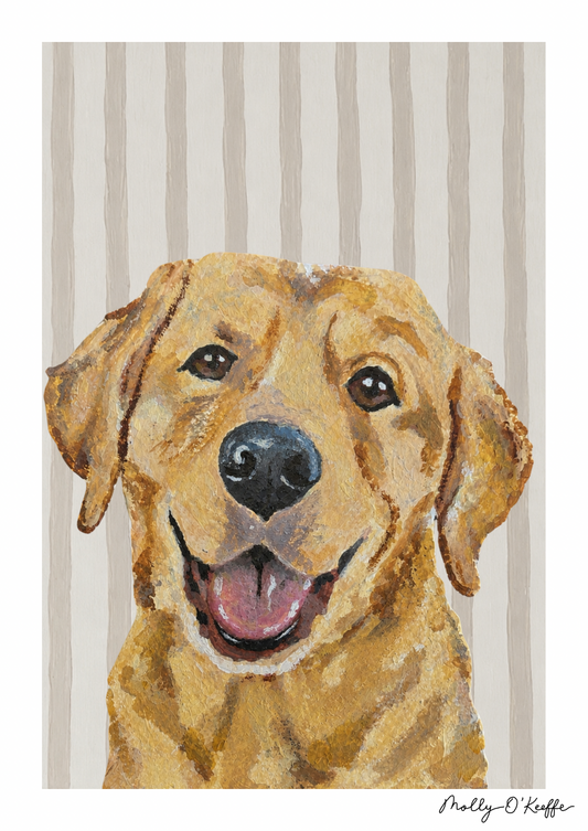 Yellow Labrador on Fermoyle Beach Print