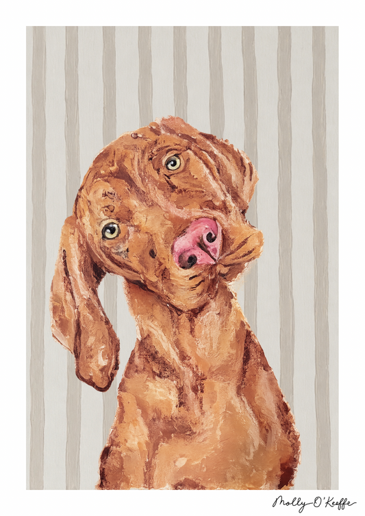 Vizsla on Fermoyle Beach Print