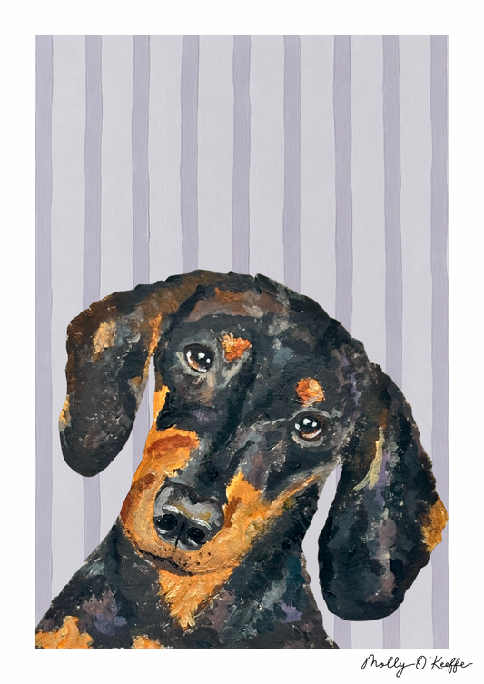 Short-Haired Dachshund on Burren Grey Print