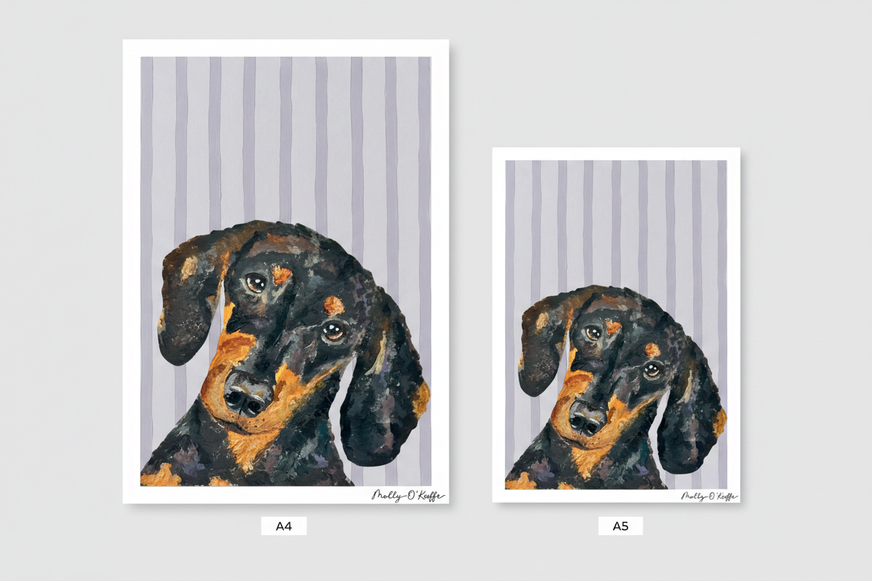 Short-Haired Dachshund on Burren Grey Print