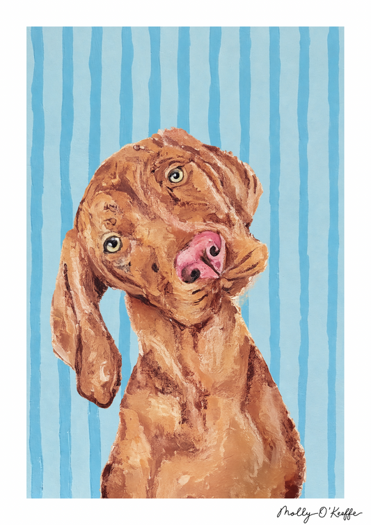 Vizsla on Soča Blue Print