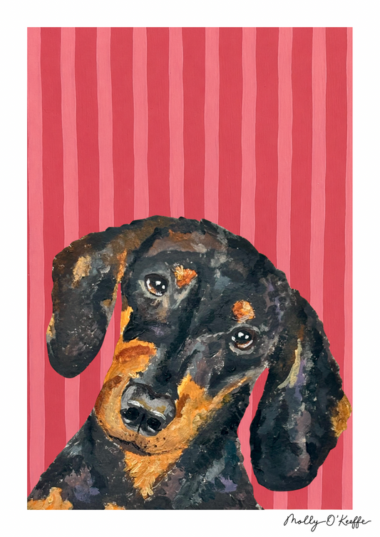 Short-Haired Dachshund on Raspberry Print