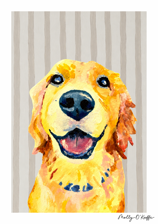 Golden Retriever on Fermoyle Beach Print