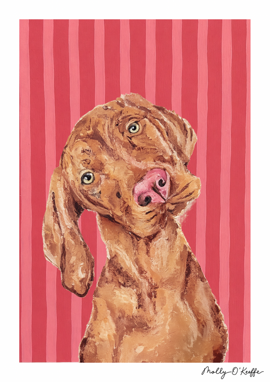 Vizsla on Raspberry Print