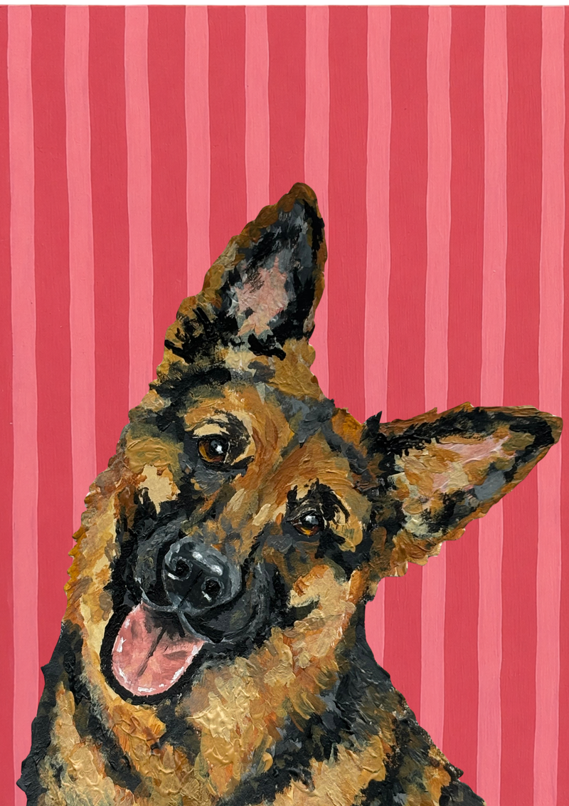 German Shephard