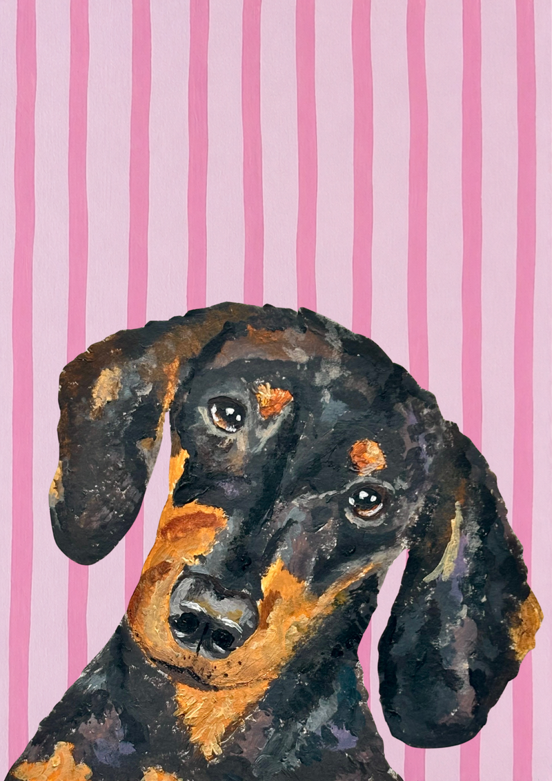 Short-Haired Dachshund
